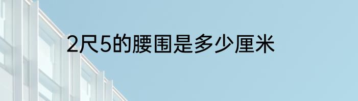 2尺5的腰围是多少厘米