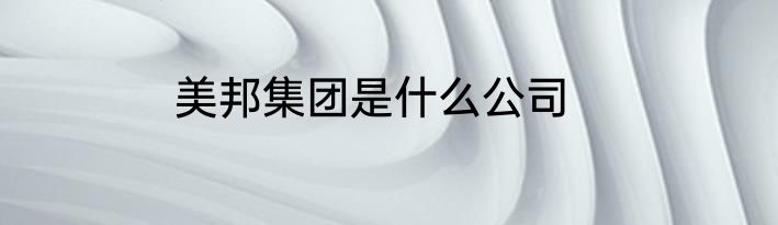 美邦集团是什么公司