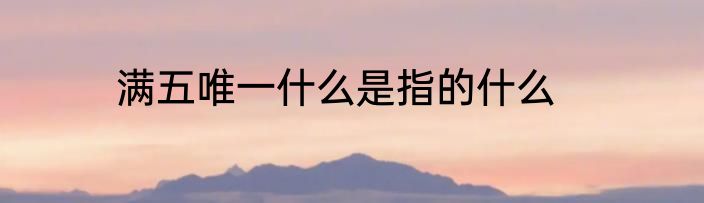 满五唯一什么是指的什么