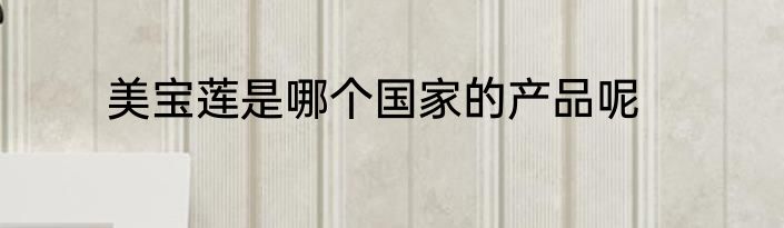 美宝莲是哪个国家的产品呢