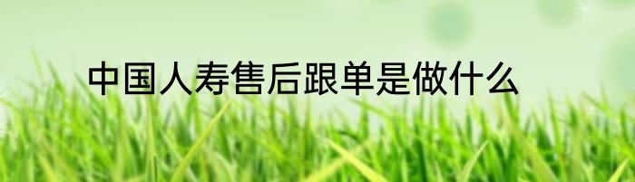 中国人寿售后跟单是做什么