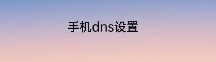 手机dns设置