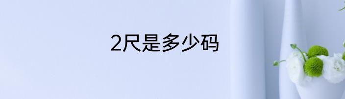 2尺是多少码