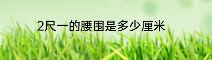 2尺一的腰围是多少厘米