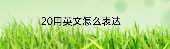 20用英文怎么表达