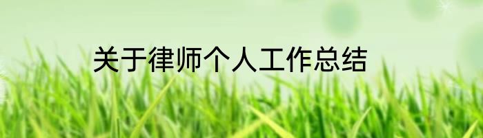 关于律师个人工作总结