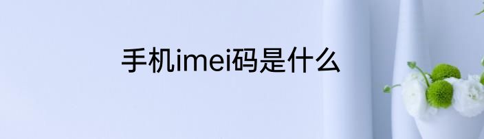 手机imei码是什么