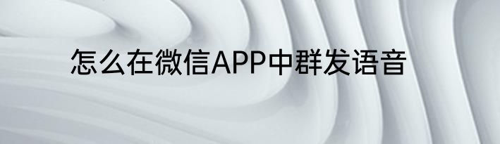 怎么在微信APP中群发语音