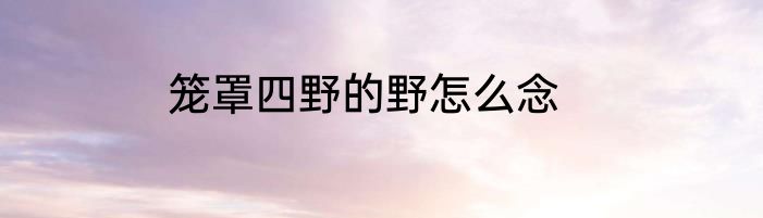 笼罩四野的野怎么念