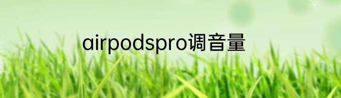 airpodspro调音量