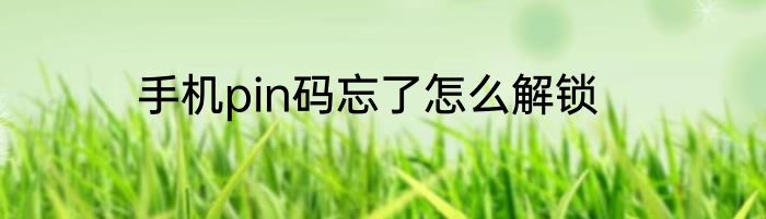手机pin码忘了怎么解锁
