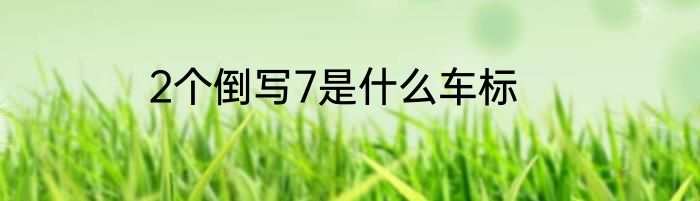 2个倒写7是什么车标