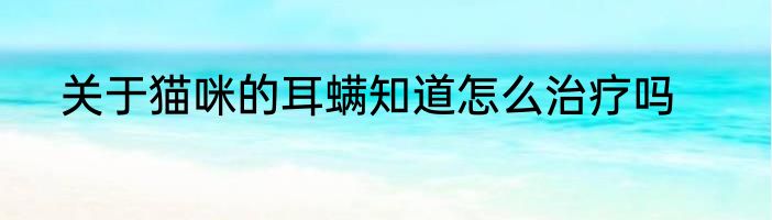 关于猫咪的耳螨知道怎么治疗吗
