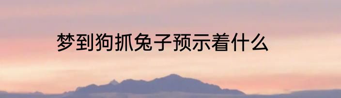 梦到狗抓兔子预示着什么