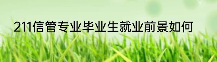211信管专业毕业生就业前景如何