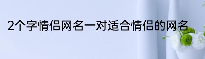 2个字情侣网名一对适合情侣的网名