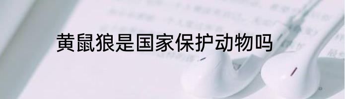 黄鼠狼是国家保护动物吗