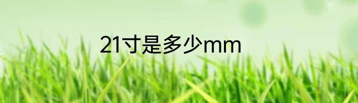 21寸是多少mm