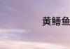 黄鳝鱼的营养价值