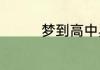 梦到高中异性同学好不好