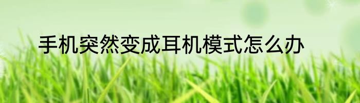 手机突然变成耳机模式怎么办