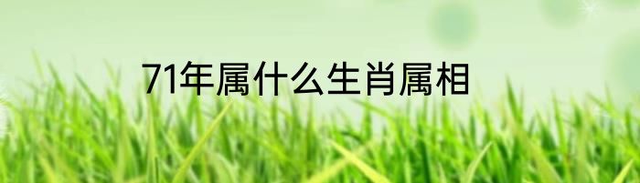 71年属什么生肖属相