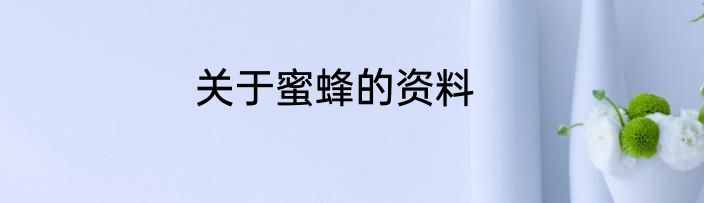 关于蜜蜂的资料