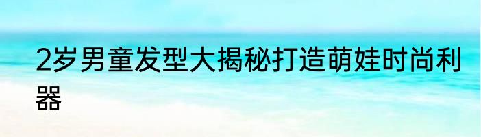 2岁男童发型大揭秘打造萌娃时尚利器