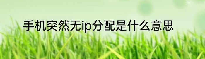手机突然无ip分配是什么意思