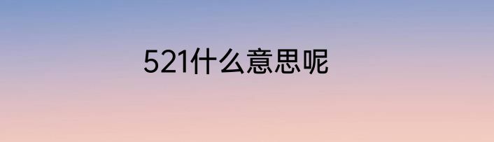 521什么意思呢