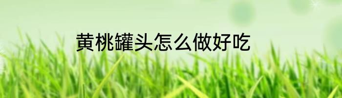 黄桃罐头怎么做好吃