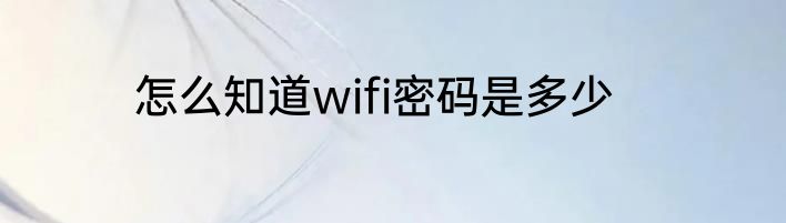 怎么知道wifi密码是多少