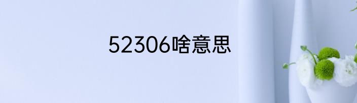 52306啥意思