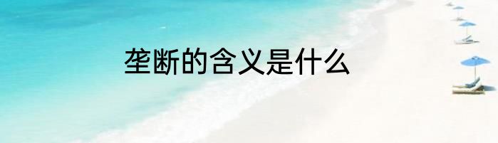 垄断的含义是什么