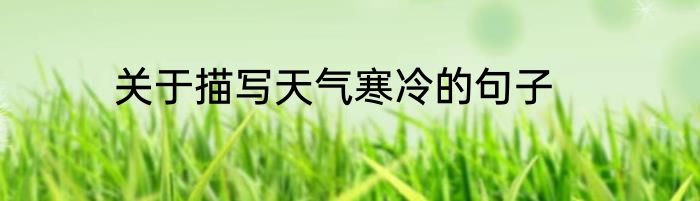 关于描写天气寒冷的句子