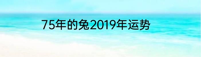 75年的兔2019年运势