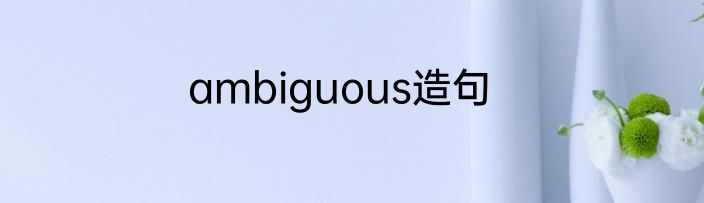 ambiguous造句