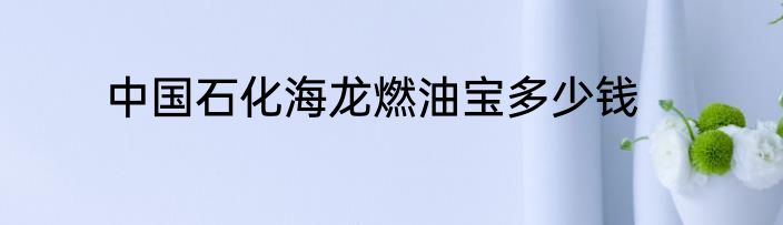 中国石化海龙燃油宝多少钱