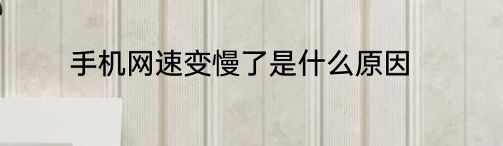手机网速变慢了是什么原因