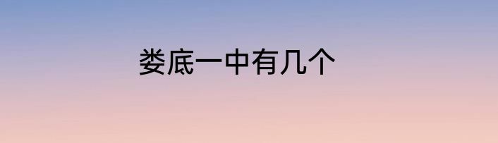娄底一中有几个