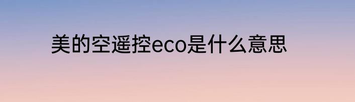 美的空遥控eco是什么意思