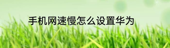 手机网速慢怎么设置华为