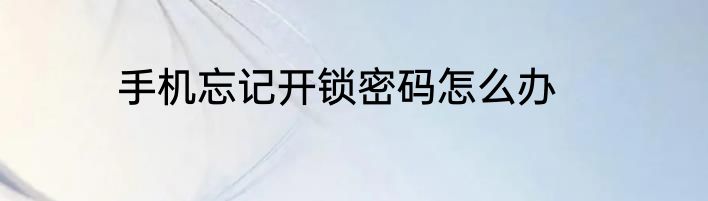 手机忘记开锁密码怎么办