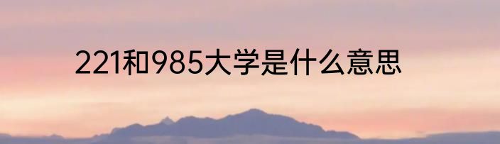 221和985大学是什么意思