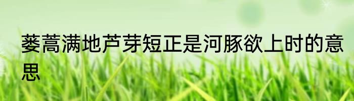 蒌蒿满地芦芽短正是河豚欲上时的意思