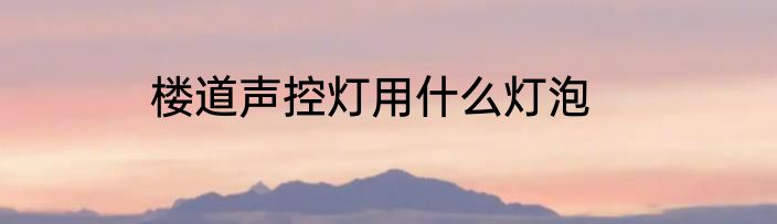 楼道声控灯用什么灯泡