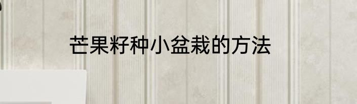 芒果籽种小盆栽的方法