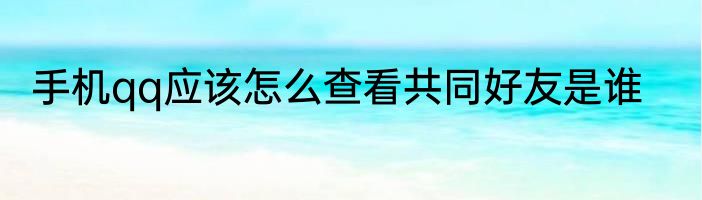 手机qq应该怎么查看共同好友是谁