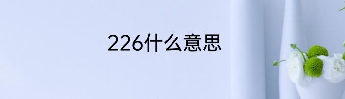 226什么意思