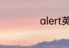 alert英语什么意思